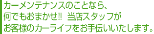 �J�[�����e�i���X�̂��ƂȂ�A���ł����܂����I