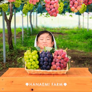 花笑み農園｜東真産業株式会社